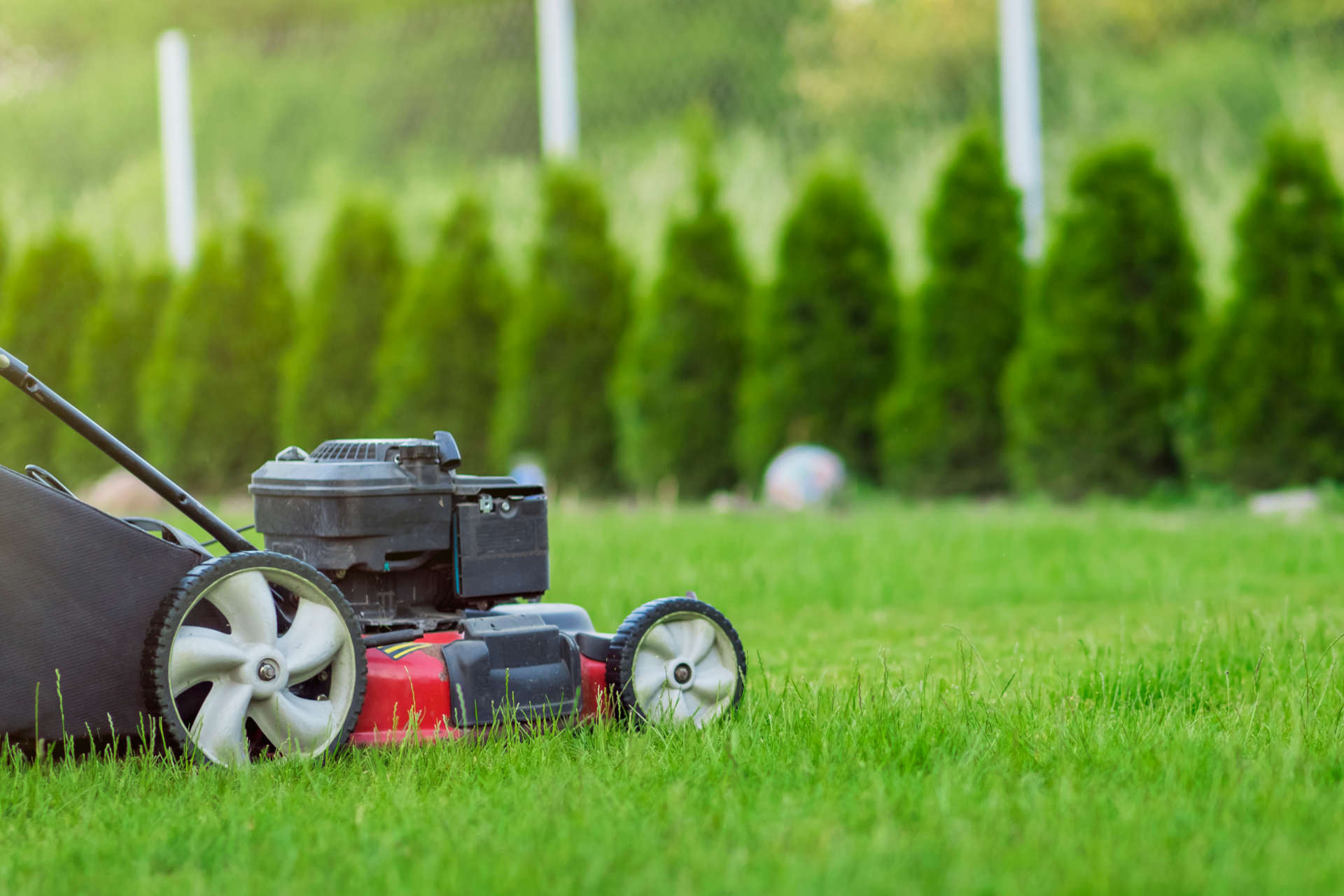 LAWN CUTTING